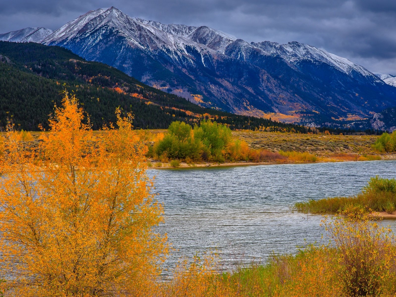 Обои деревья, река, горы, осень, сша, колорадо, аспен, trees, river, mountains, autumn, usa, colorado, aspen разрешение 1920x1360 Загрузить