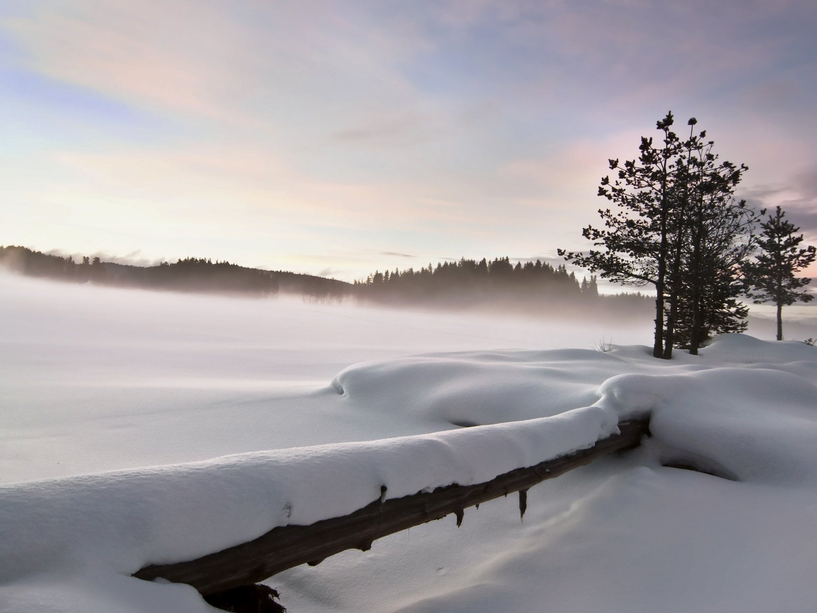 Обои снег, природа, зима, пейзаж, забор, strahil dimitrov, snow, nature, winter, landscape, the fence разрешение 3840x2400 Загрузить