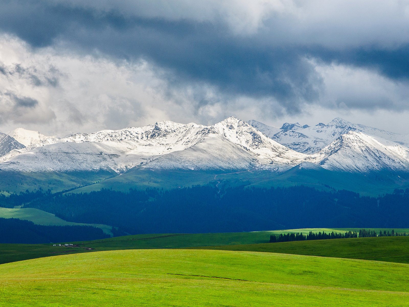 Обои небо, облака, горы, природа, пейзаж, поле, снежные вершины, the sky, clouds, mountains, nature, landscape, field, snowy peaks разрешение 1920x1200 Загрузить