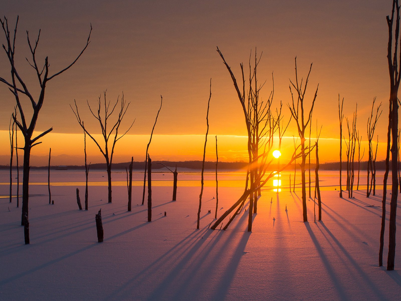 Обои деревья, солнце, снег, закат, зима, пейзаж, trees, the sun, snow, sunset, winter, landscape разрешение 1920x1200 Загрузить