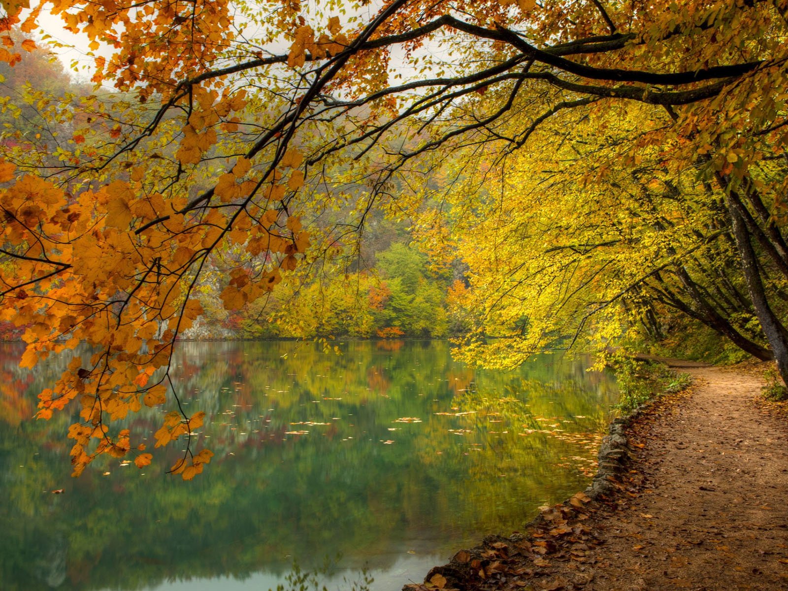 Фрагмент осени. Осень. Осень озеро. Холодная осень озеро. Осень озеро в парке листья на воде.