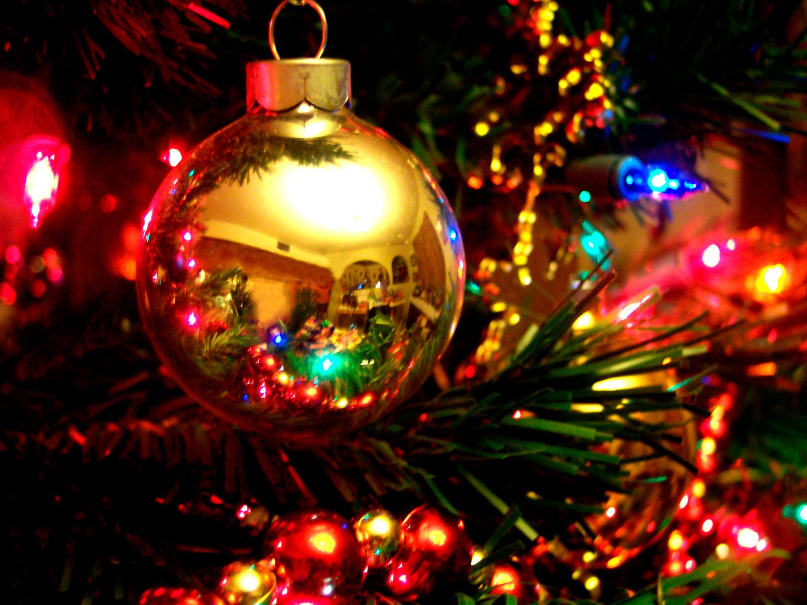Обои новый год, елка, шары, рождество, елочные игрушки, гирлянда, new year, tree, balls, christmas, christmas decorations, garland разрешение 2560x1600 Загрузить