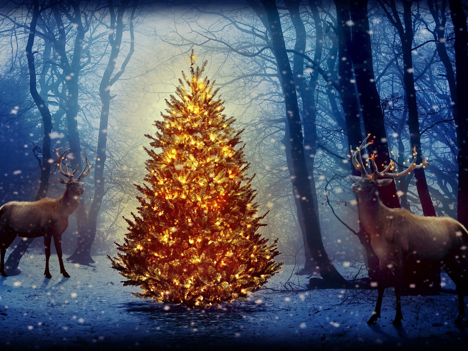 Обои новый год, елка, лес, олени, рождество, new year, tree, forest, deer, christmas разрешение 2880x1800 Загрузить