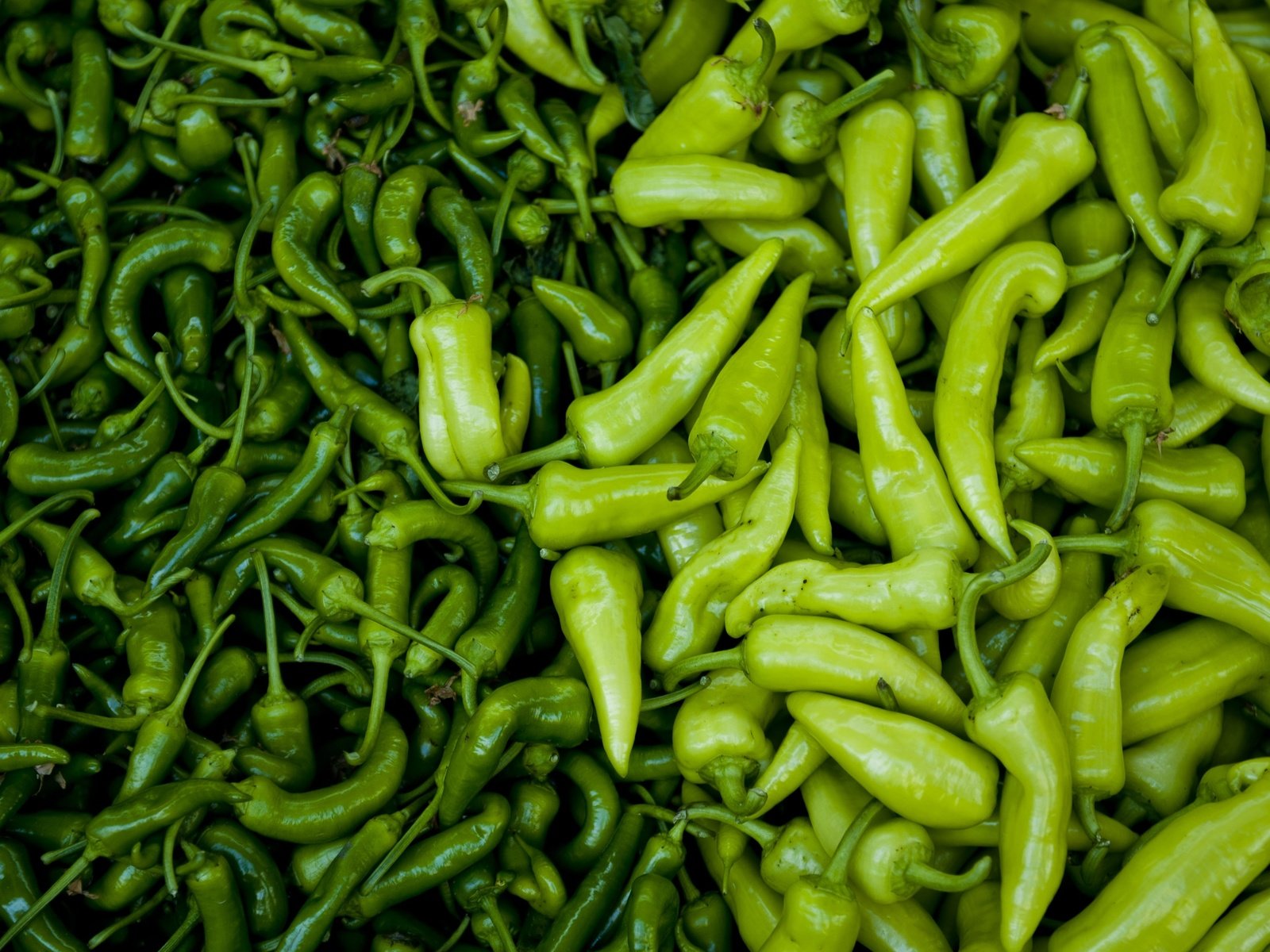 Обои зелёный, овощи, перец, green, vegetables, pepper разрешение 3598x2394 Загрузить