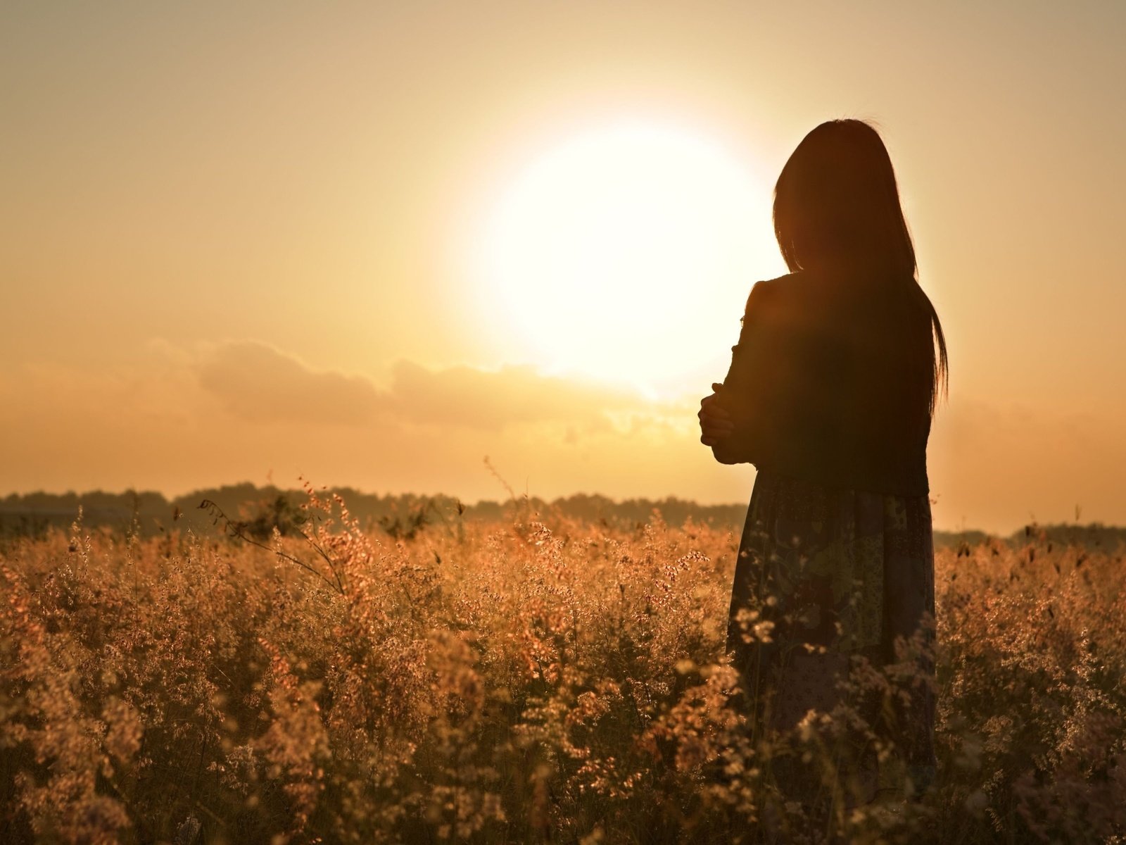 Обои девушка, настроение, поле, закат солнца, волосы, вид сзади, girl, mood, field, sunset, hair, rear view разрешение 3831x2554 Загрузить