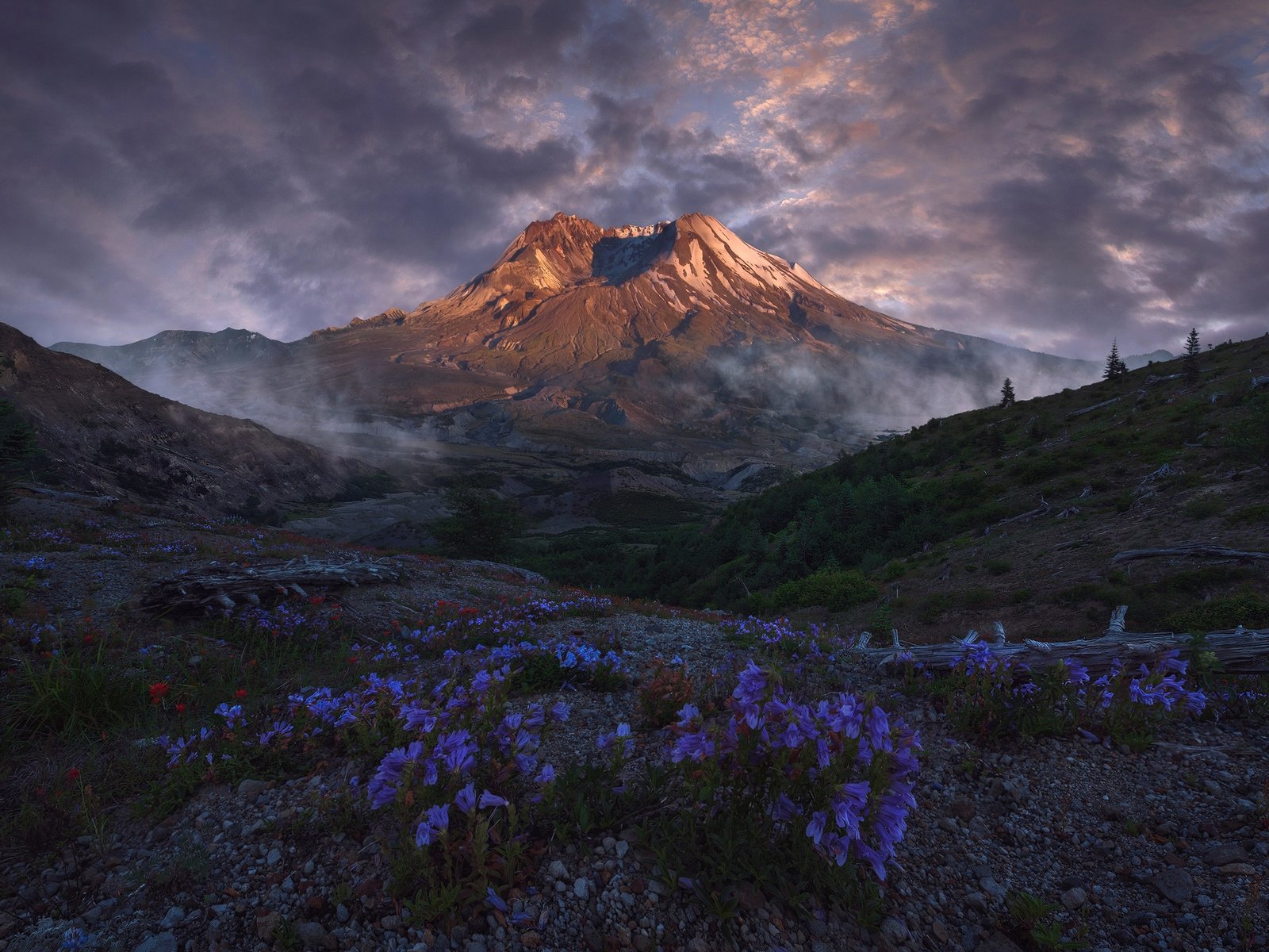 Обои небо, цветы, облака, горы, природа, пейзаж, вулкан, victor carreiro, the sky, flowers, clouds, mountains, nature, landscape, the volcano разрешение 2000x1416 Загрузить