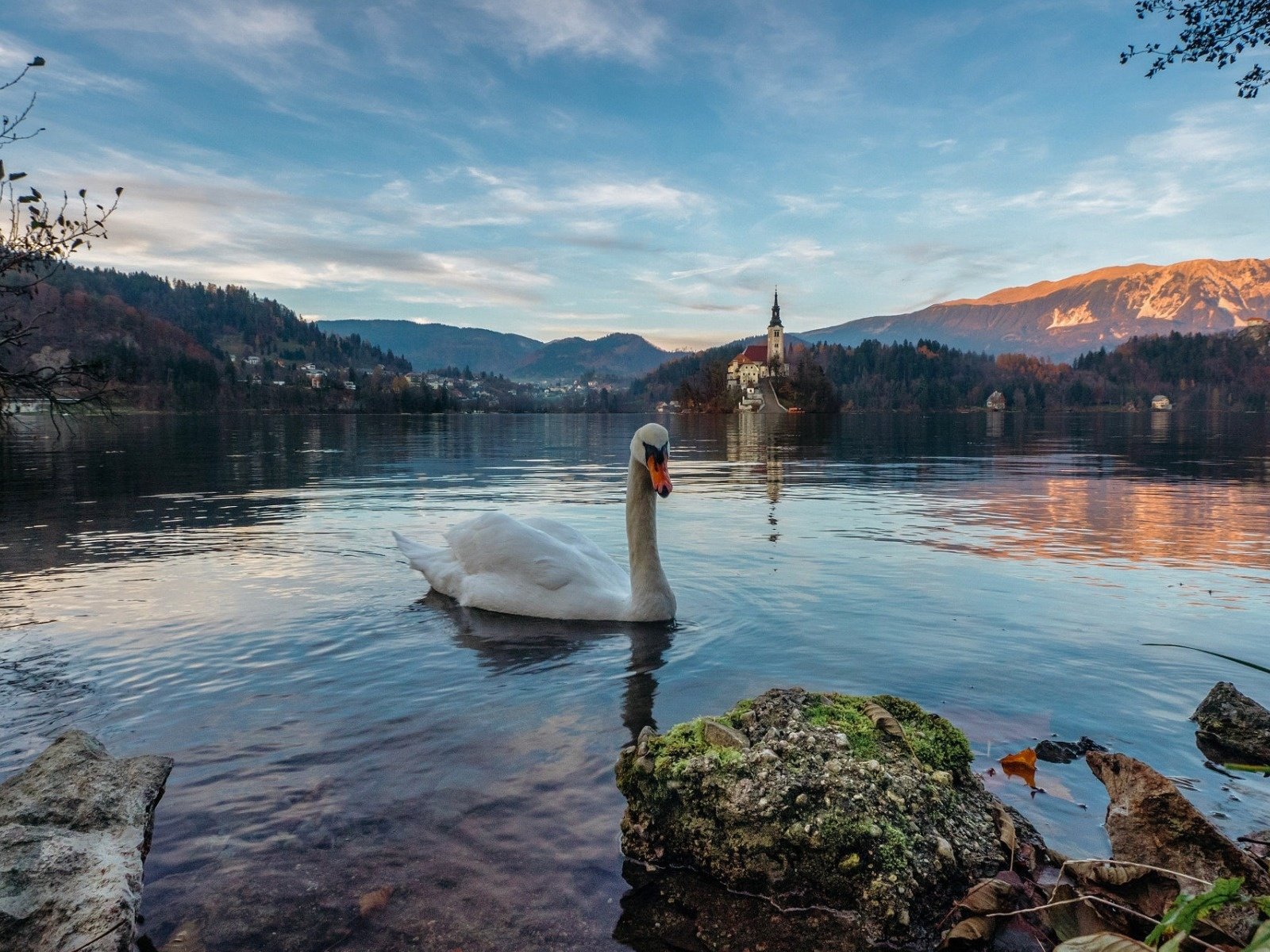 Обои озеро, горы, пейзаж, птица, альпы, лебедь, словения, блед, lake, mountains, landscape, bird, alps, swan, slovenia, bled разрешение 1920x1200 Загрузить