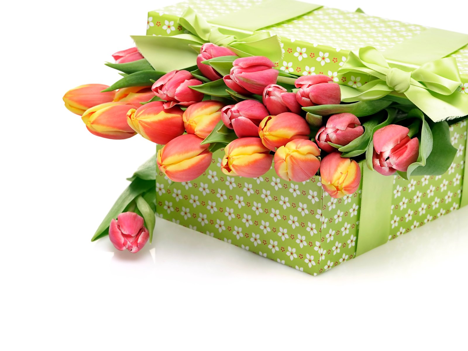Обои цветы, букет, тюльпаны, белый фон, подарок, бантик, . коробка, flowers, bouquet, tulips, white background, gift, bow разрешение 8512x5664 Загрузить