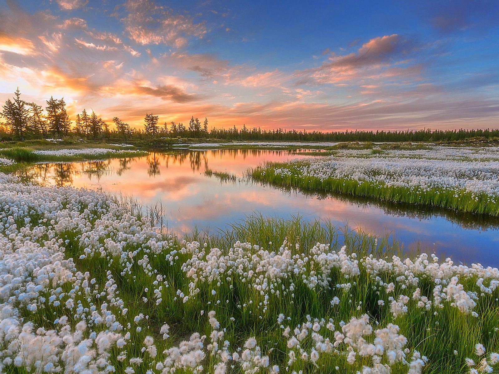 Обои небо, вода, озеро, природа, закат, россия, pavel evgrafov, пушица, ямал, yamal, the sky, water, lake, nature, sunset, russia, as cotton grass разрешение 1920x1200 Загрузить