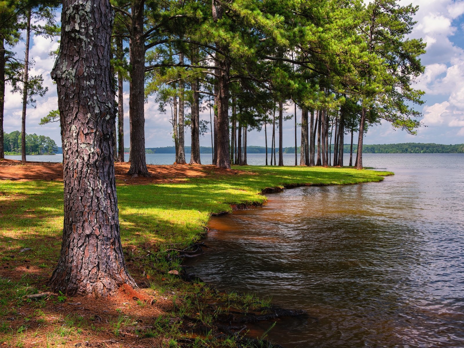 Обои небо, флорида, облака, west point lake, anderson park, деревья, озеро, солнце, лес, парк, сша, the sky, fl, clouds, trees, lake, the sun, forest, park, usa разрешение 2048x1366 Загрузить