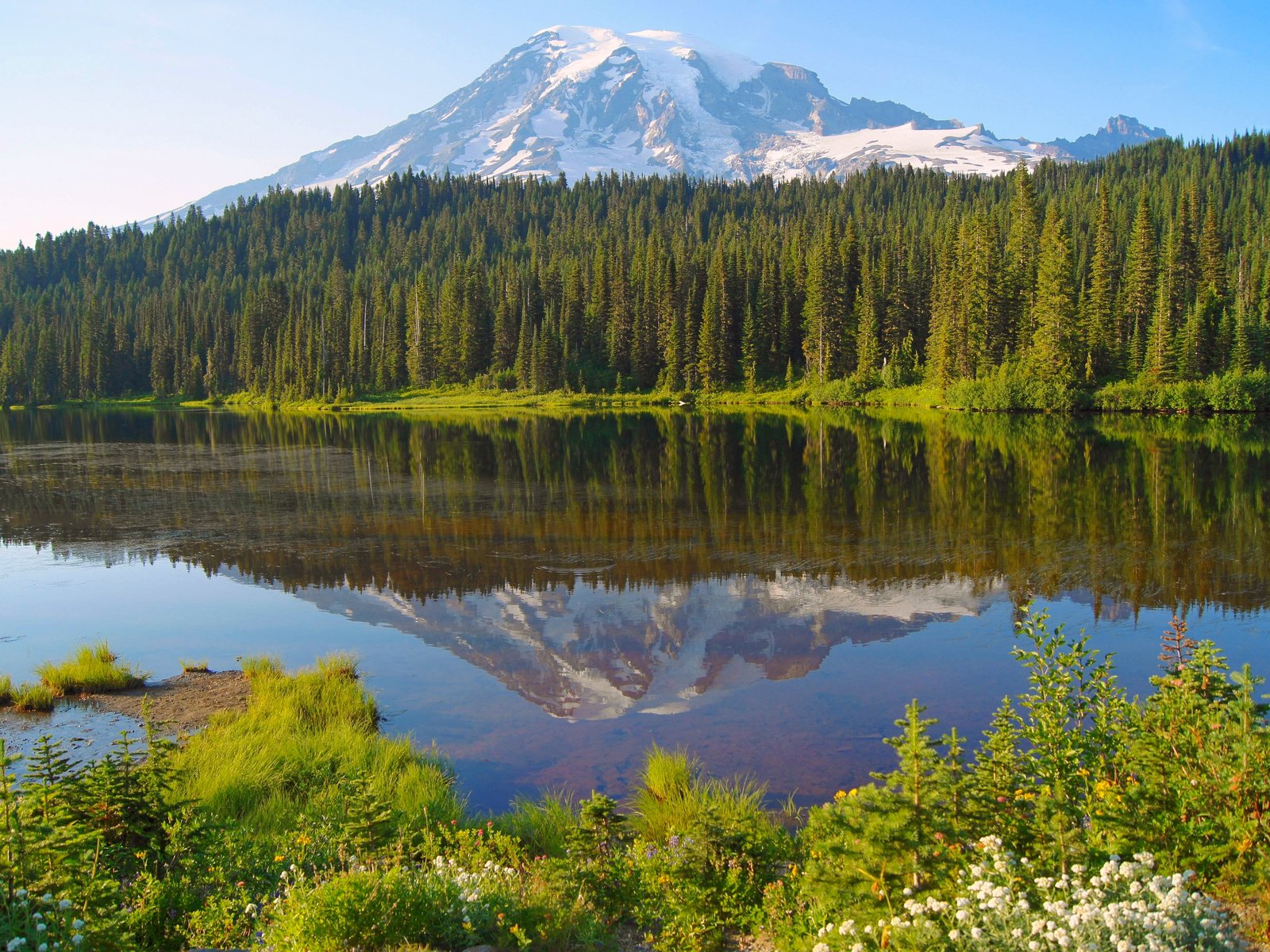 Обои озеро, лес, гора, канада, lake, forest, mountain, canada разрешение 4912x3264 Загрузить