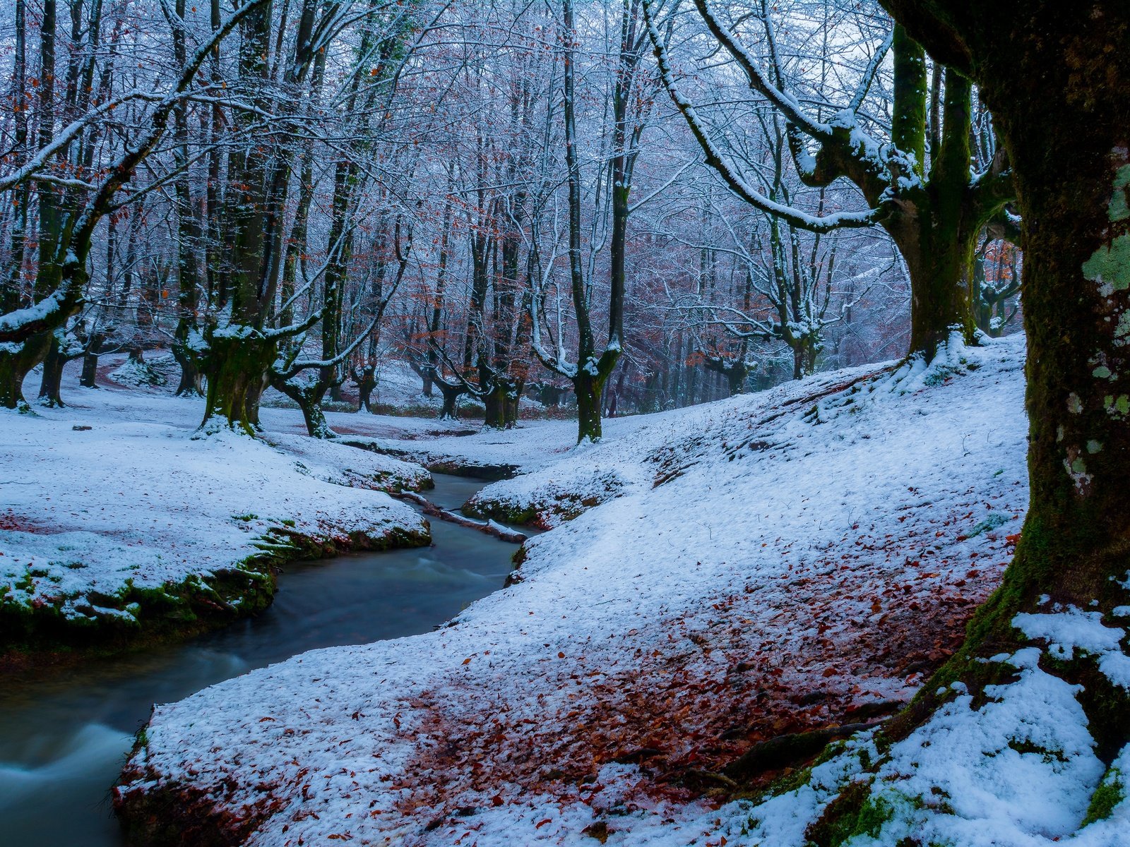 Обои река, снег, природа, лес, зима, ручей, river, snow, nature, forest, winter, stream разрешение 3840x2160 Загрузить