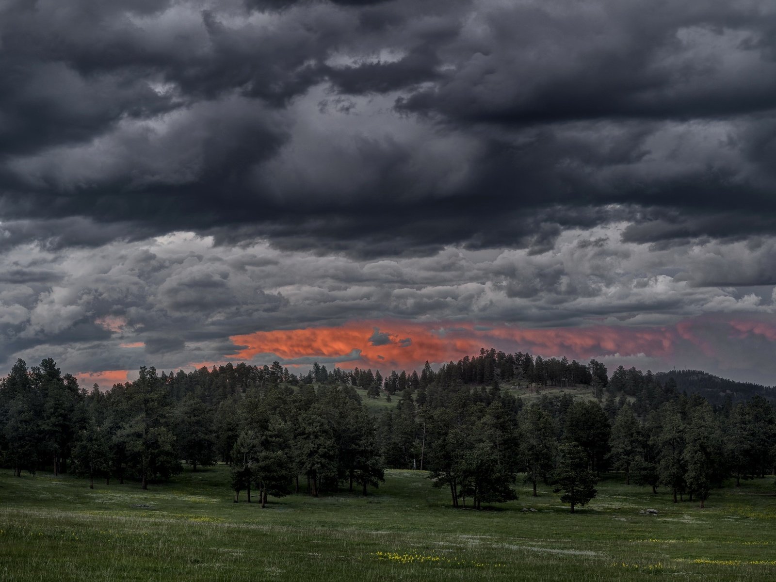 Обои облака, вечер, природа, лес, закат, clouds, the evening, nature, forest, sunset разрешение 2048x1365 Загрузить