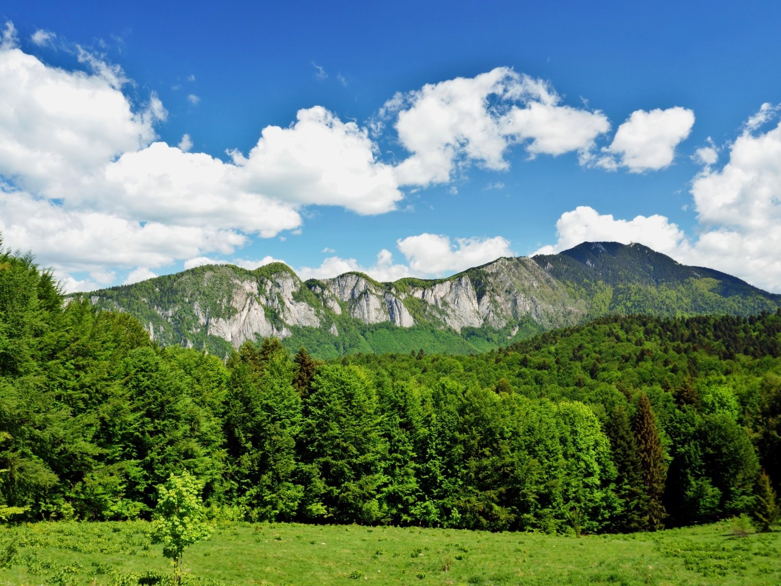 Обои небо, облака, горы, природа, лес, the sky, clouds, mountains, nature, forest разрешение 6000x3376 Загрузить