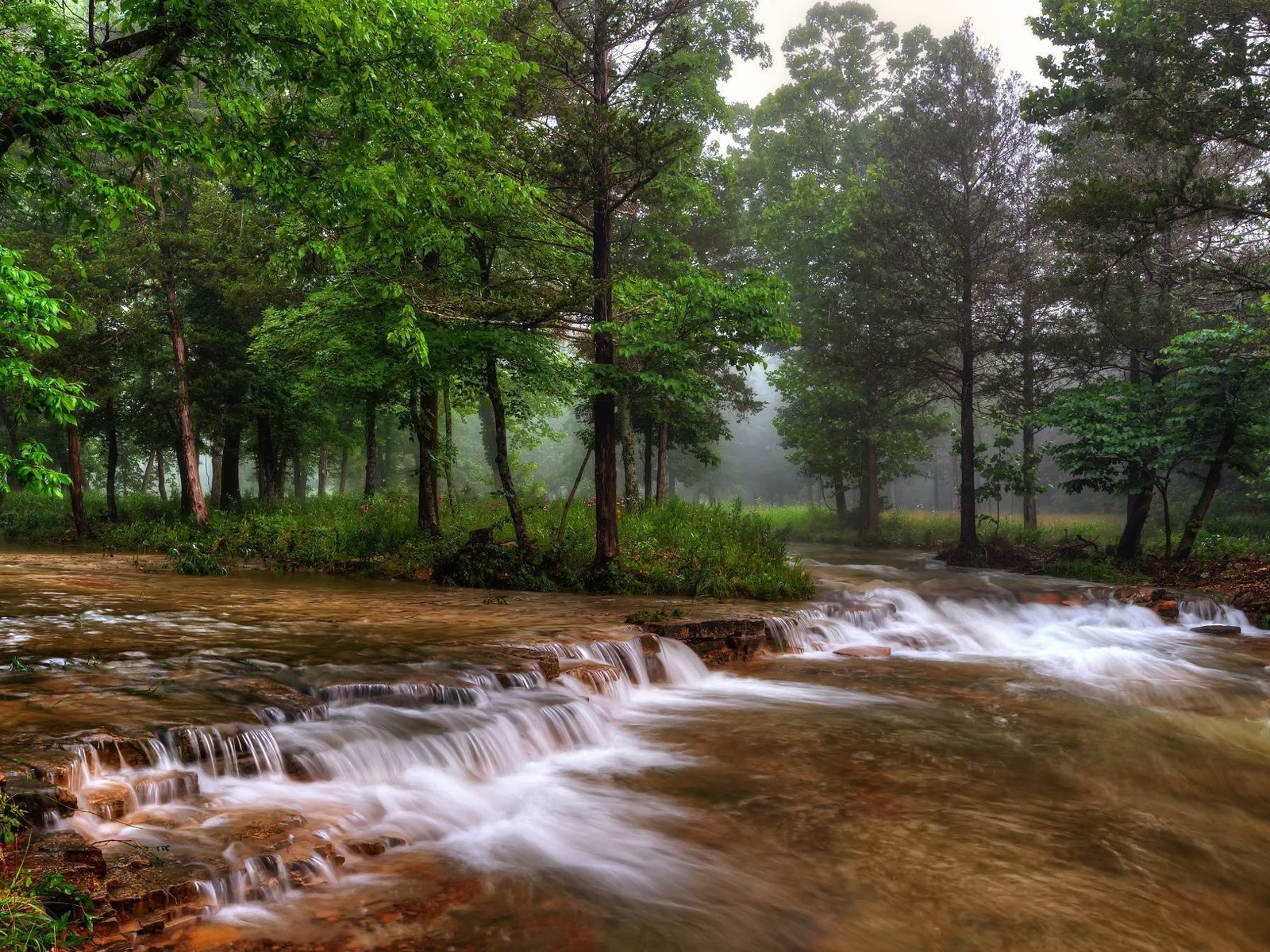 Обои деревья, река, природа, лес, туман, сша, миссури, trees, river, nature, forest, fog, usa, missouri разрешение 2048x1343 Загрузить