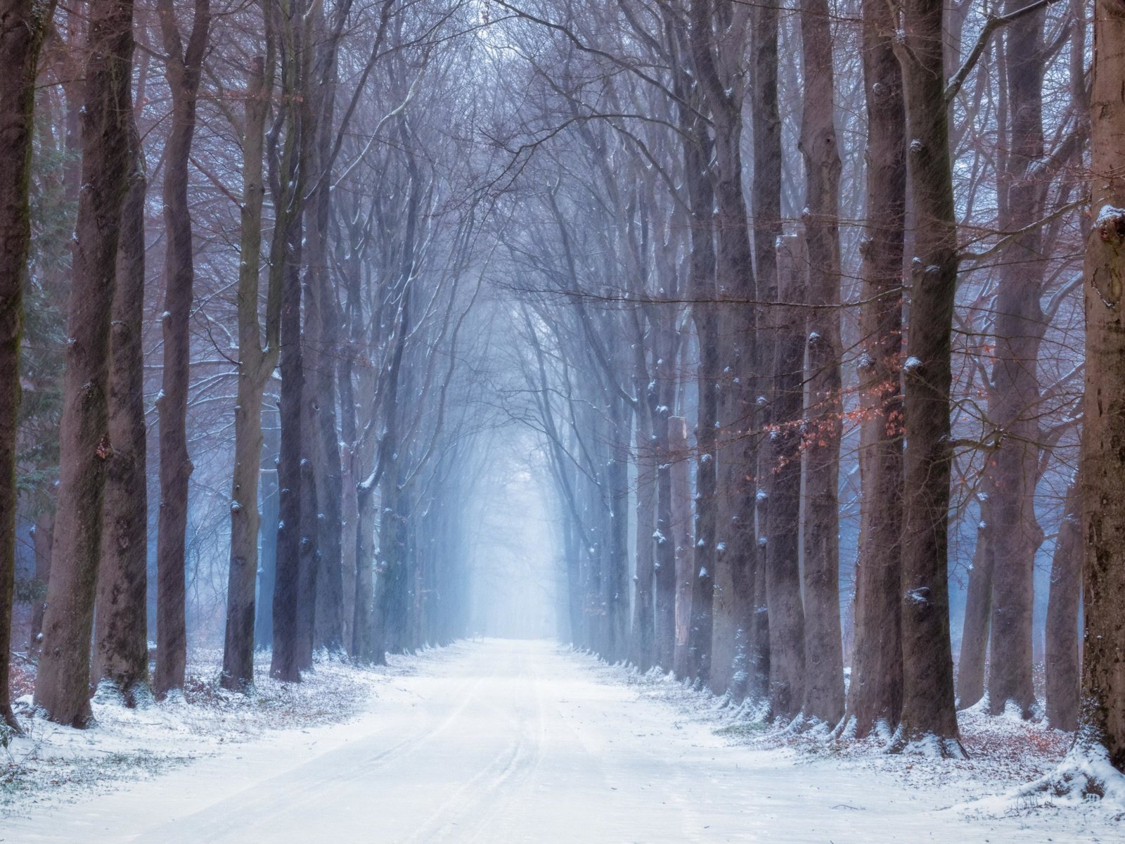 Обои дорога, лес, зима, road, forest, winter разрешение 3840x2160 Загрузить