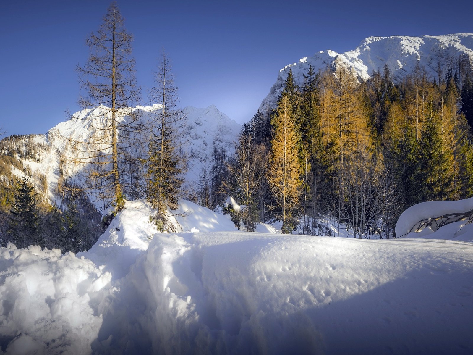 Обои горы, снег, лес, mountains, snow, forest разрешение 3053x1705 Загрузить