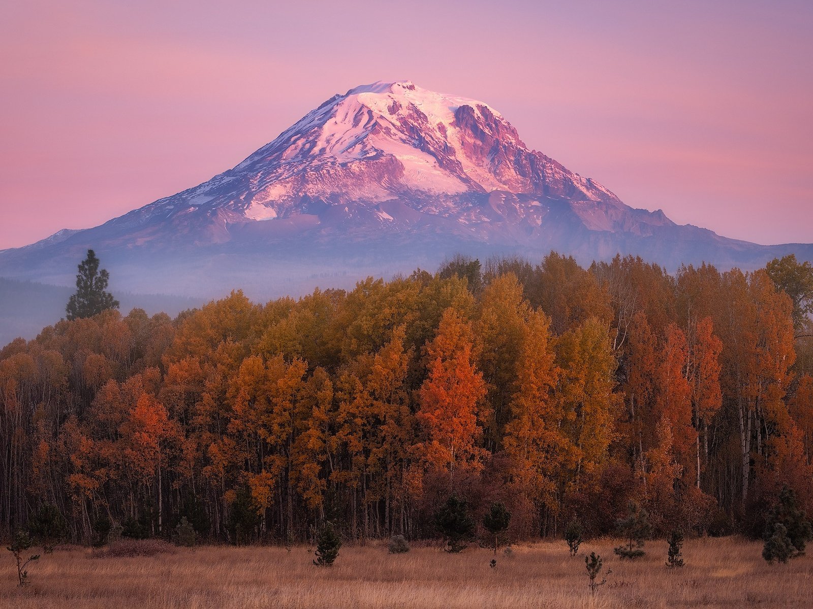 Обои лес, гора, осень, forest, mountain, autumn разрешение 2000x1341 Загрузить