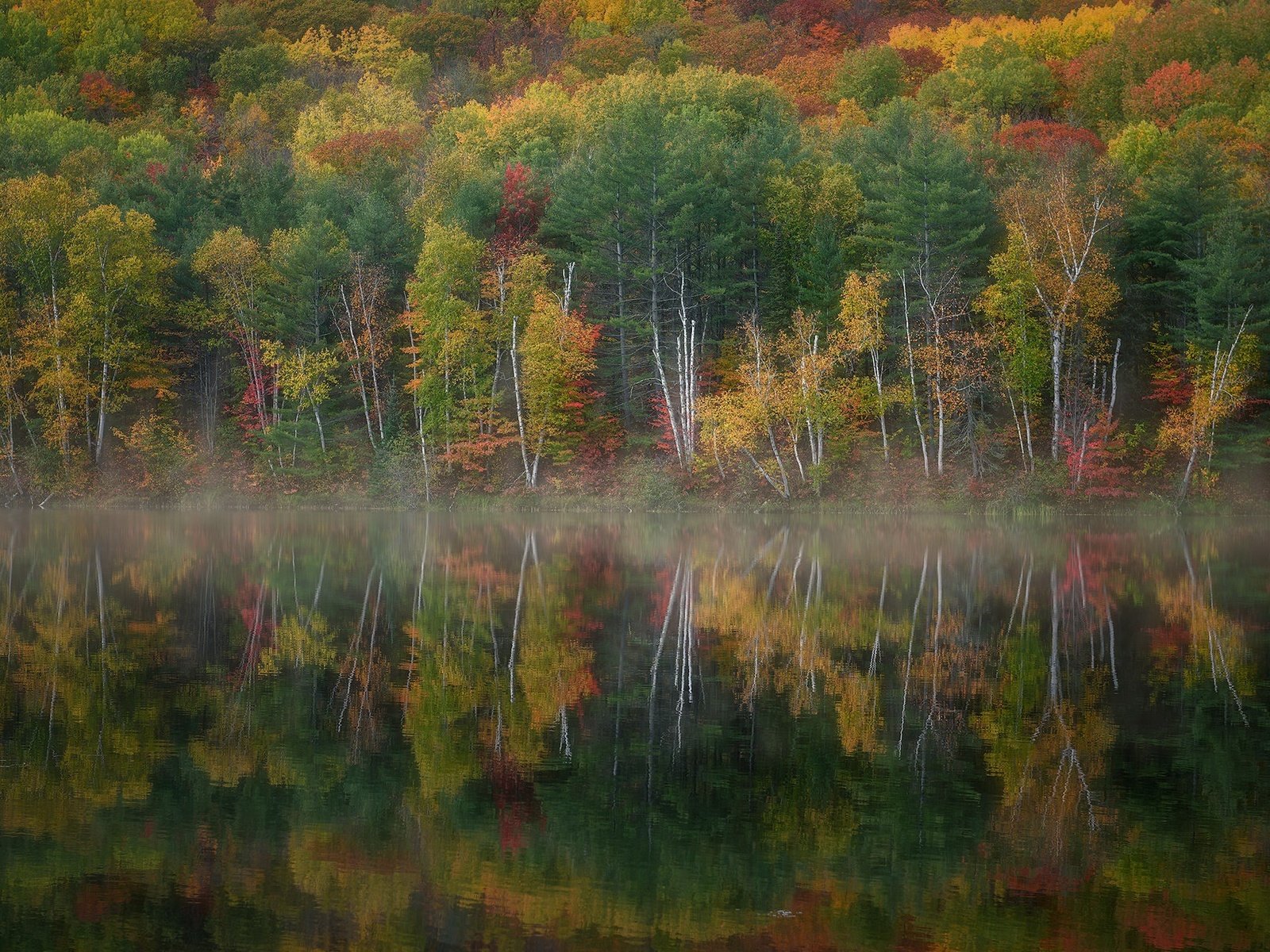 Обои озеро, лес, осень, lake, forest, autumn разрешение 2048x1268 Загрузить