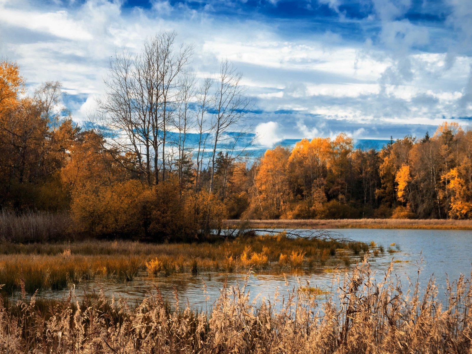 Обои озеро, лес, lake, forest разрешение 3840x2160 Загрузить