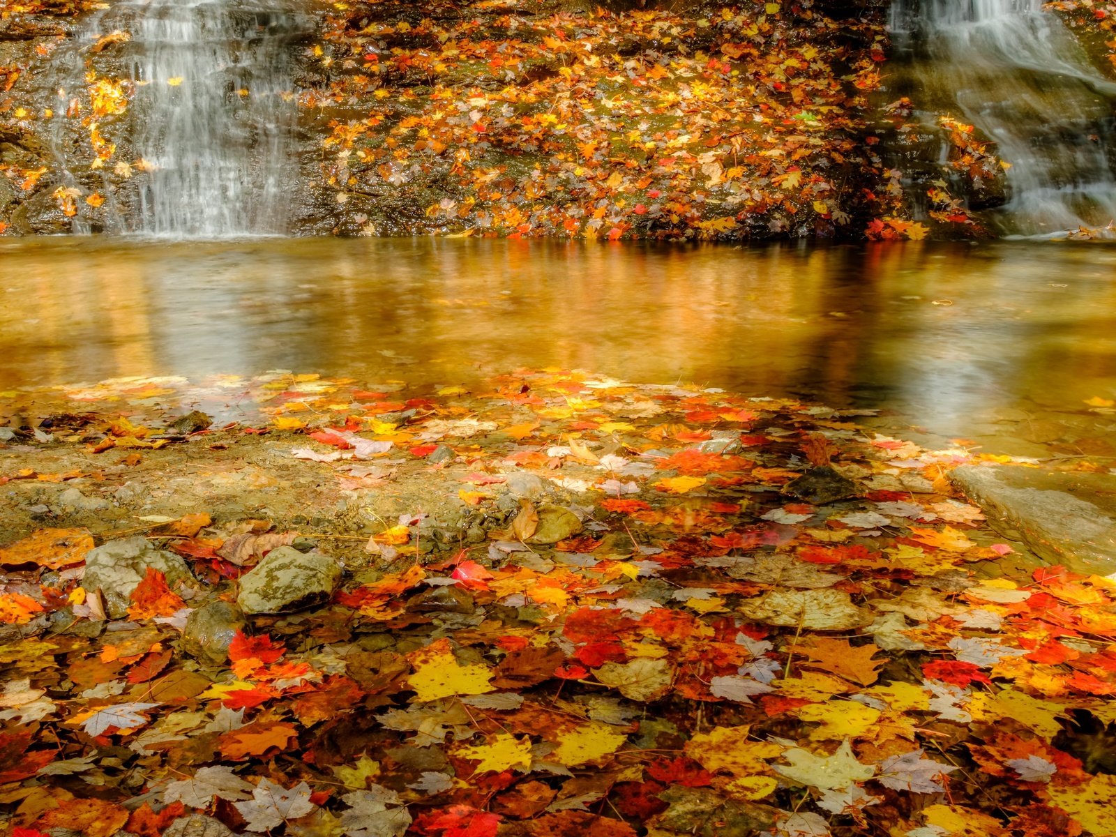 Обои озеро, листья, lake, leaves разрешение 3840x2160 Загрузить