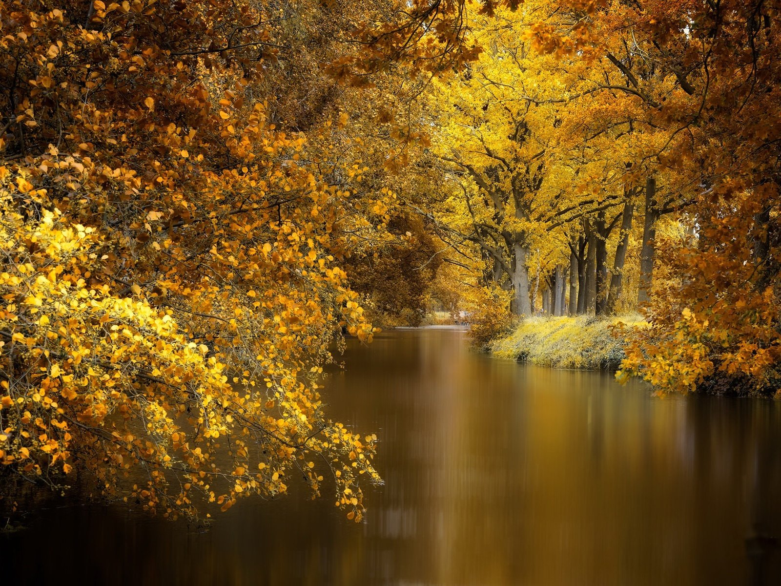 Обои деревья, природа, парк, осень, пруд, trees, nature, park, autumn, pond разрешение 2048x1280 Загрузить