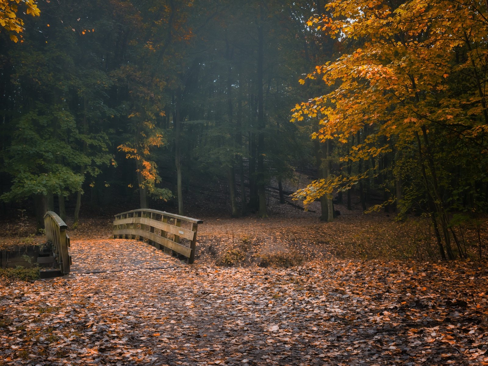 Обои природа, парк, nature, park разрешение 3840x2160 Загрузить