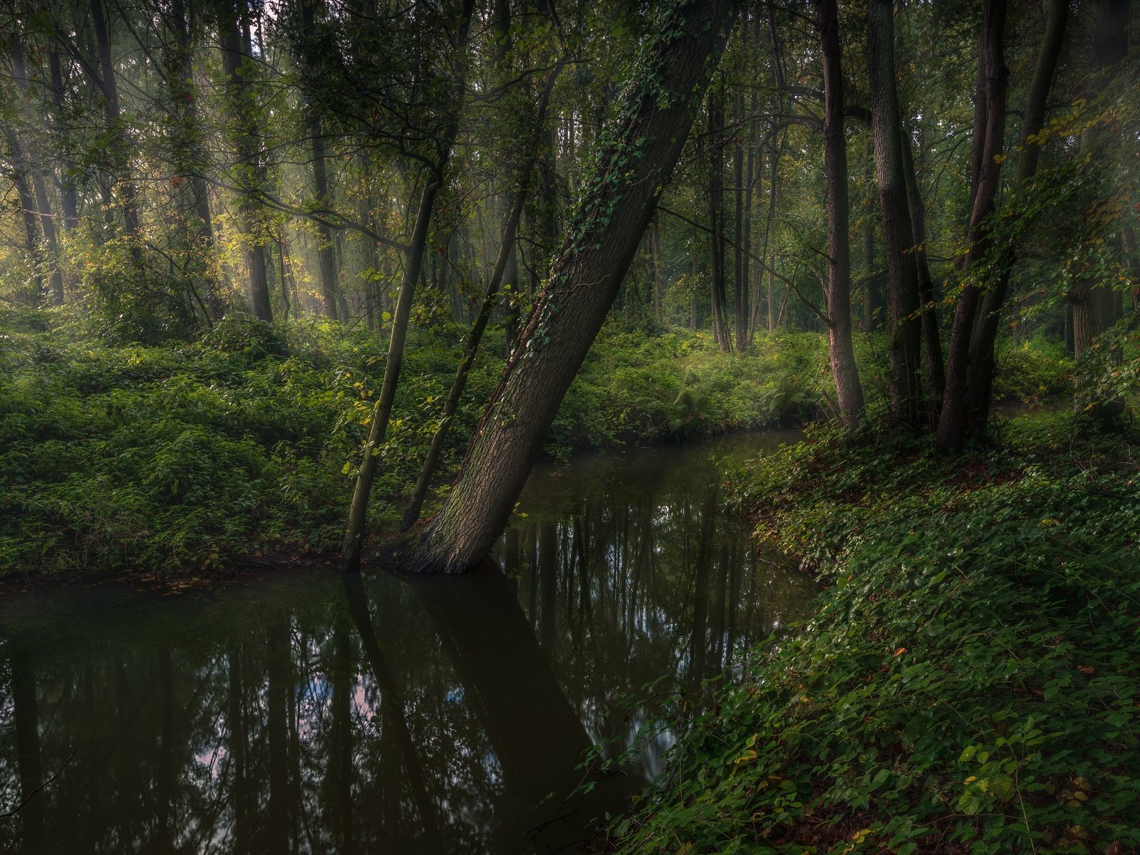 Обои река, природа, river, nature разрешение 3840x2160 Загрузить