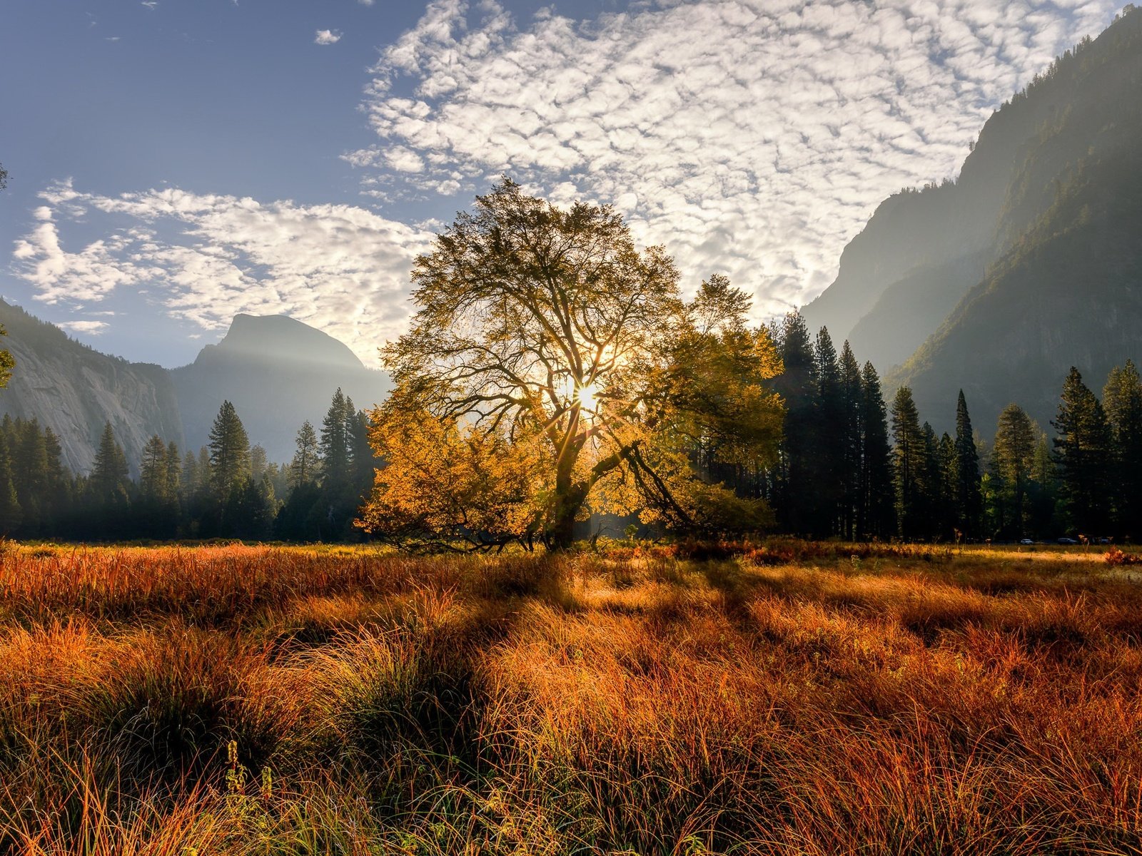 Обои деревья, горы, trees, mountains разрешение 2048x1365 Загрузить