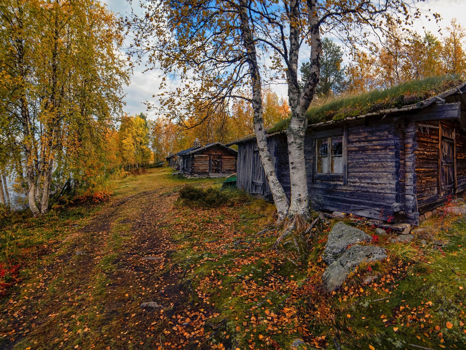 Обои дорога, дом, деревья, домик, окно, берег, листопад, лес, березы, листва, осень, водоем, road, house, trees, window, shore, falling leaves, forest, birch, foliage, autumn, pond разрешение 3072x1728 Загрузить