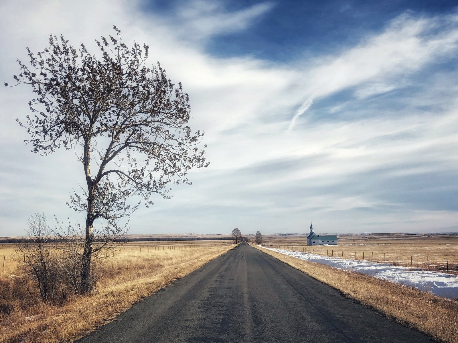 Обои дорога, дерево, поле, road, tree, field разрешение 3840x2160 Загрузить