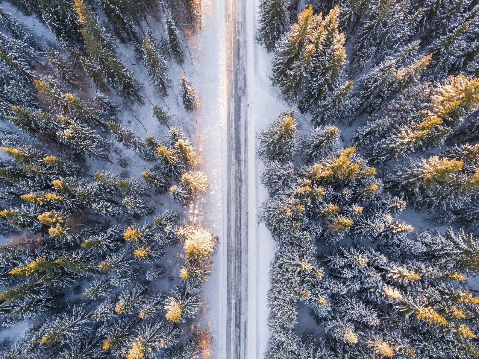 Обои дорога, снег, лес, зима, ели, road, snow, forest, winter, ate разрешение 3840x2160 Загрузить