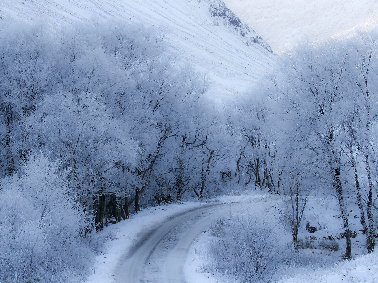 Обои дорога, снег, зима, road, snow, winter разрешение 3840x2160 Загрузить