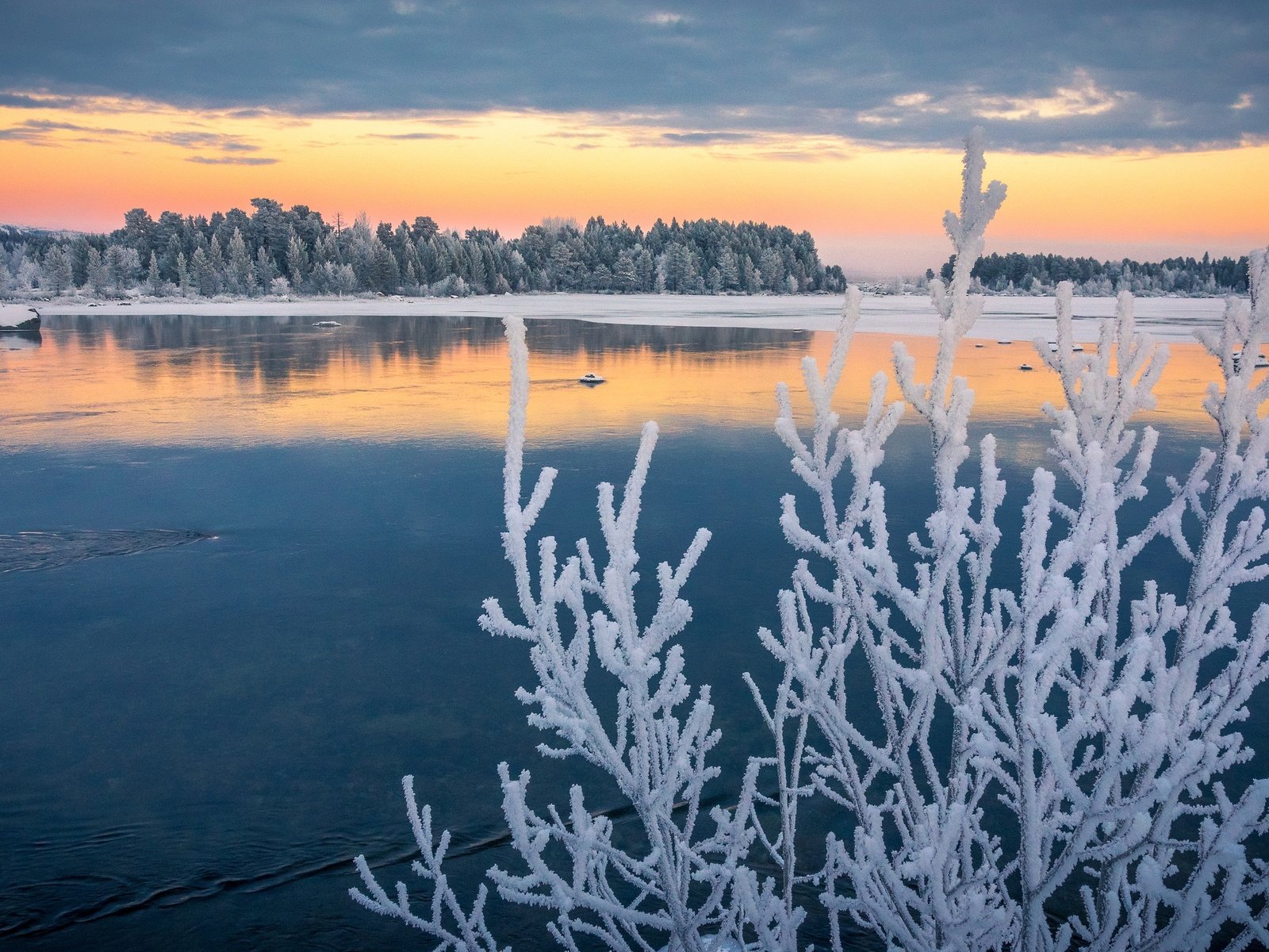 Обои озеро, ветки, иней, осень, швеция, ноябрь, лапландия, изморозь, lake, branches, frost, autumn, sweden, november, lapland разрешение 2048x1362 Загрузить