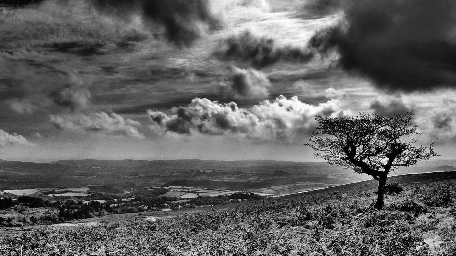 Обои облака, дерево, черно-белая, clouds, tree, black and white разрешение 1920x1440 Загрузить