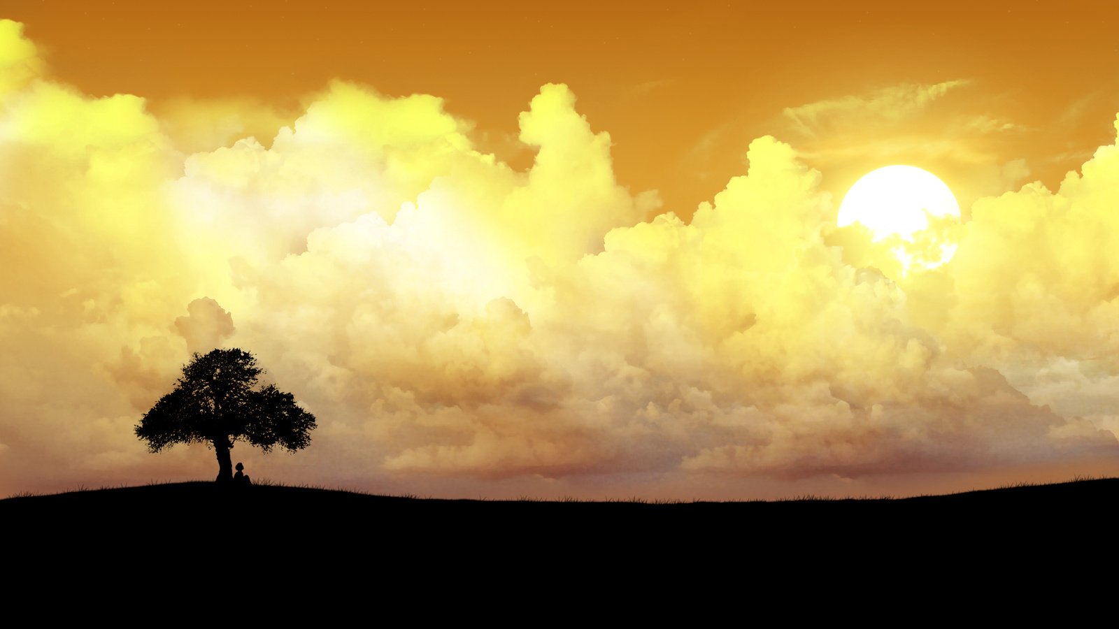 Обои облака, солнце, дерево, одинокое дерево, clouds, the sun, tree, lonely tree разрешение 1920x1200 Загрузить