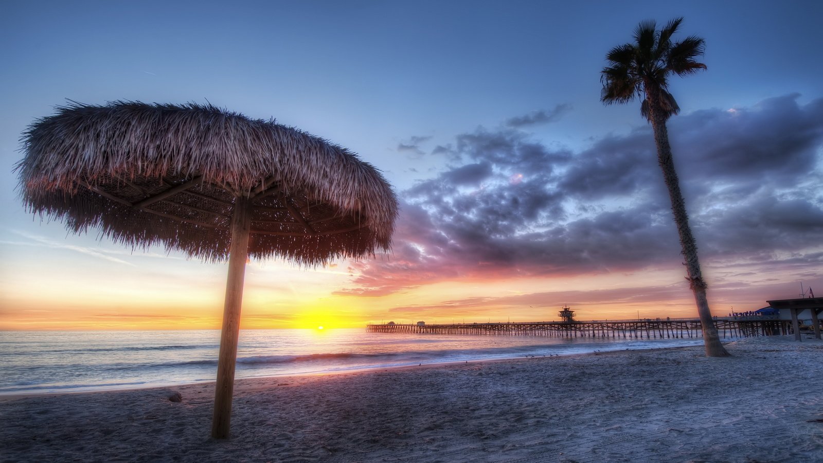 Обои берег, закат, пляж, пальма, shore, sunset, beach, palma разрешение 2560x1622 Загрузить