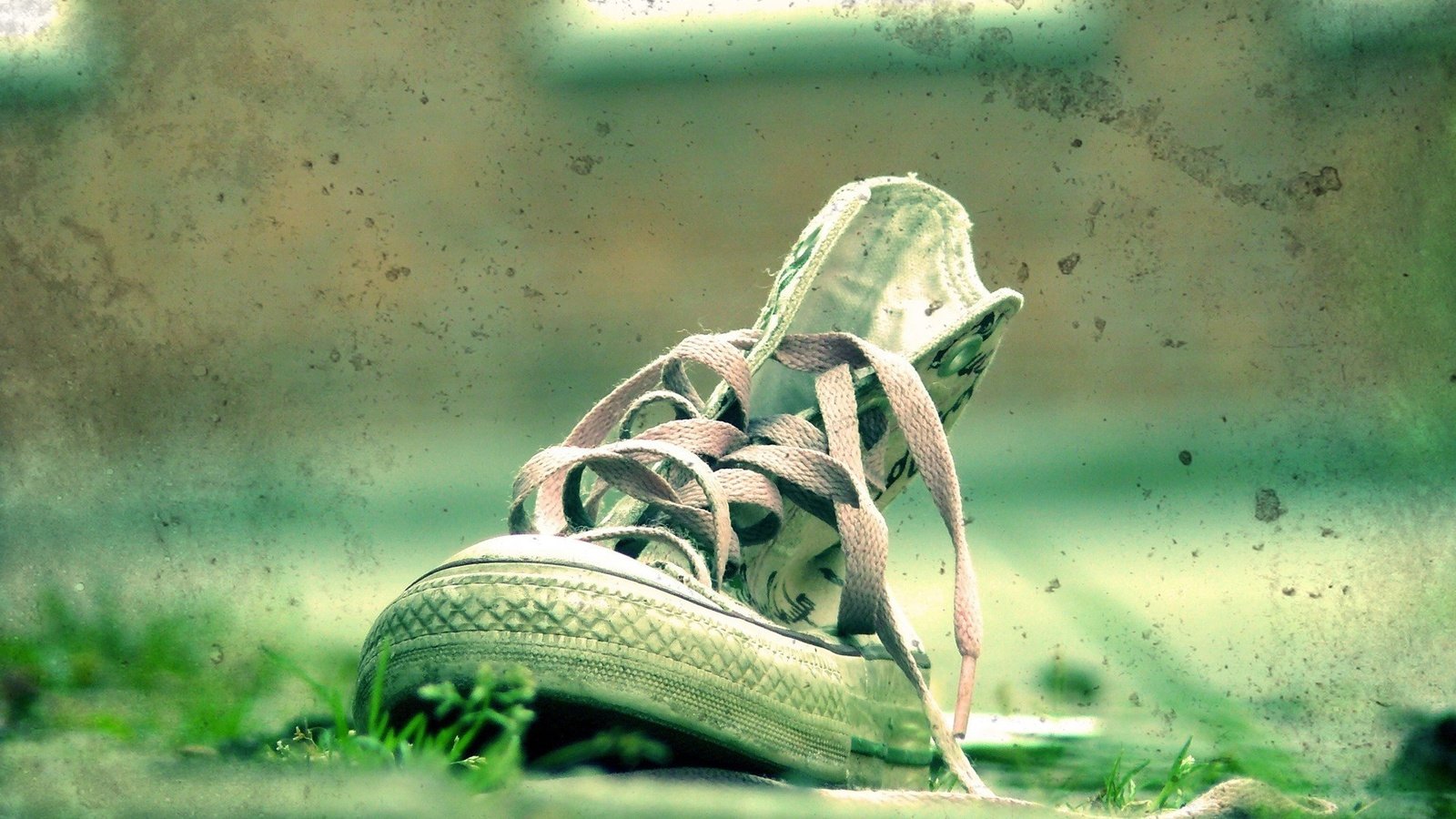 Обои трава, зелёный, кеды, пятна, обувь, шнурки, grass, green, sneakers, spot, shoes, laces разрешение 1920x1200 Загрузить