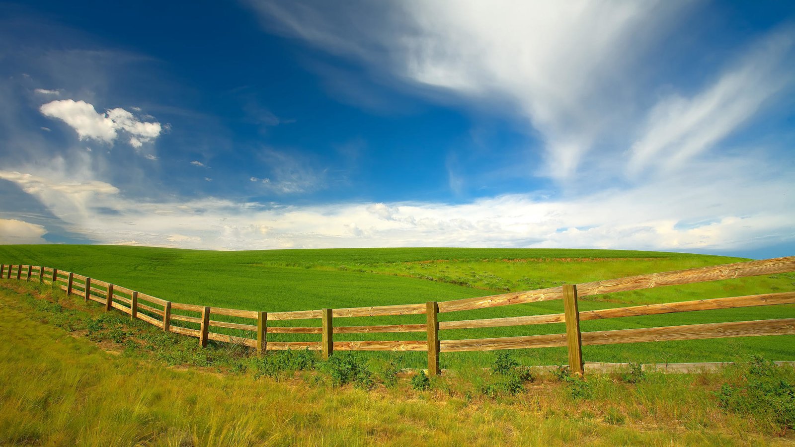 Обои поле, вашингтон, забор, field, washington, the fence разрешение 1920x1080 Загрузить