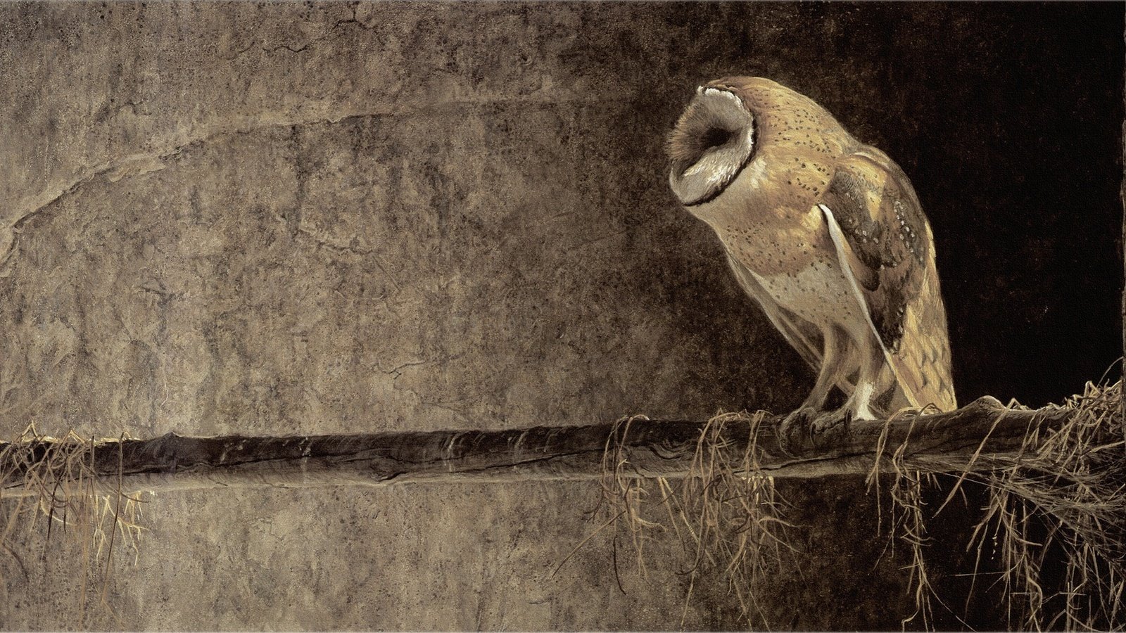 Обои сова, птица, клюв, перья, robert bateman, роберт батман, живопись, сипуха, owl, bird, beak, feathers, robert batman, painting, the barn owl разрешение 2221x1024 Загрузить