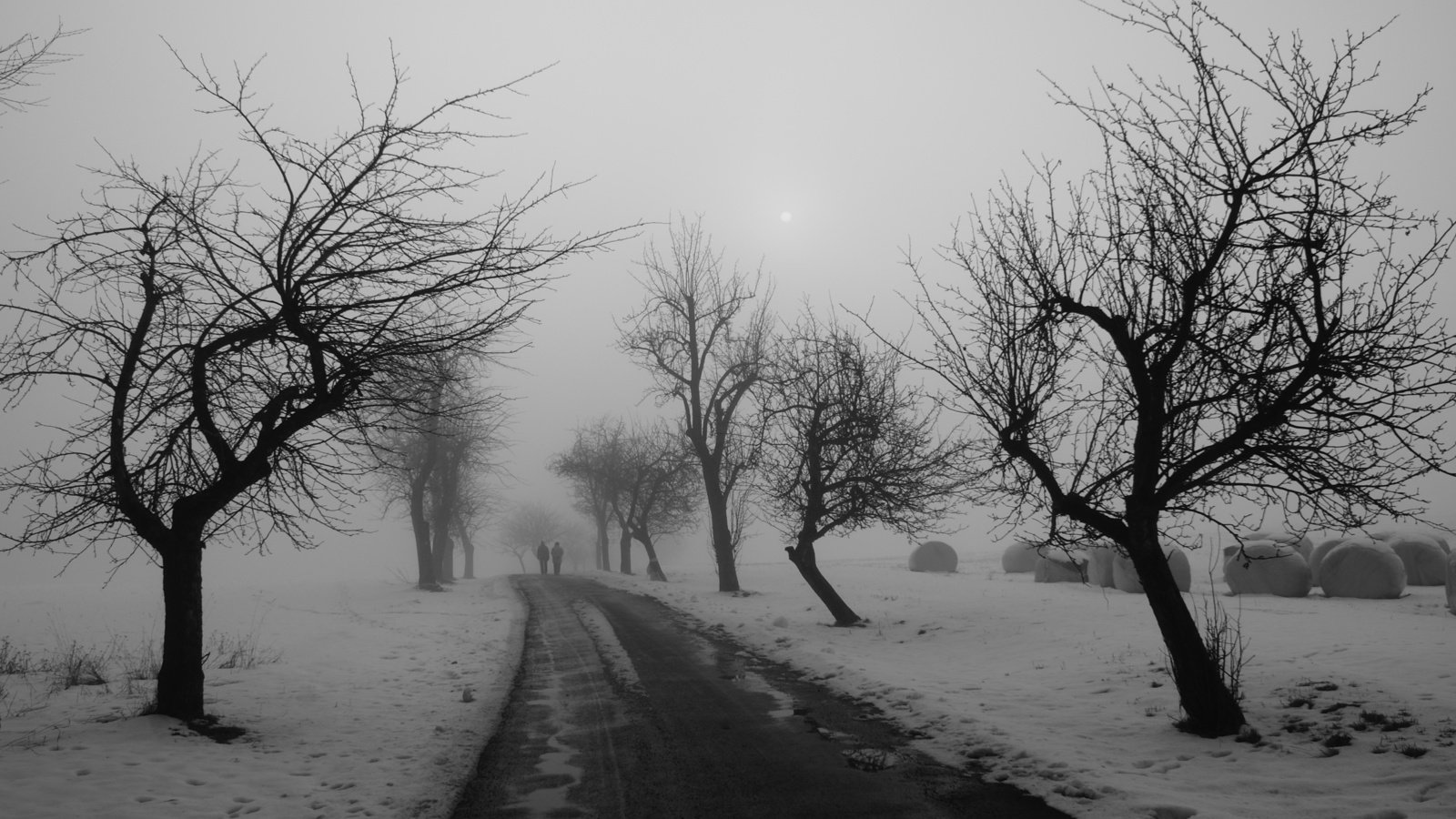 Обои дорога, деревья, зима, чёрно-белое, road, trees, winter, black and white разрешение 2560x1600 Загрузить