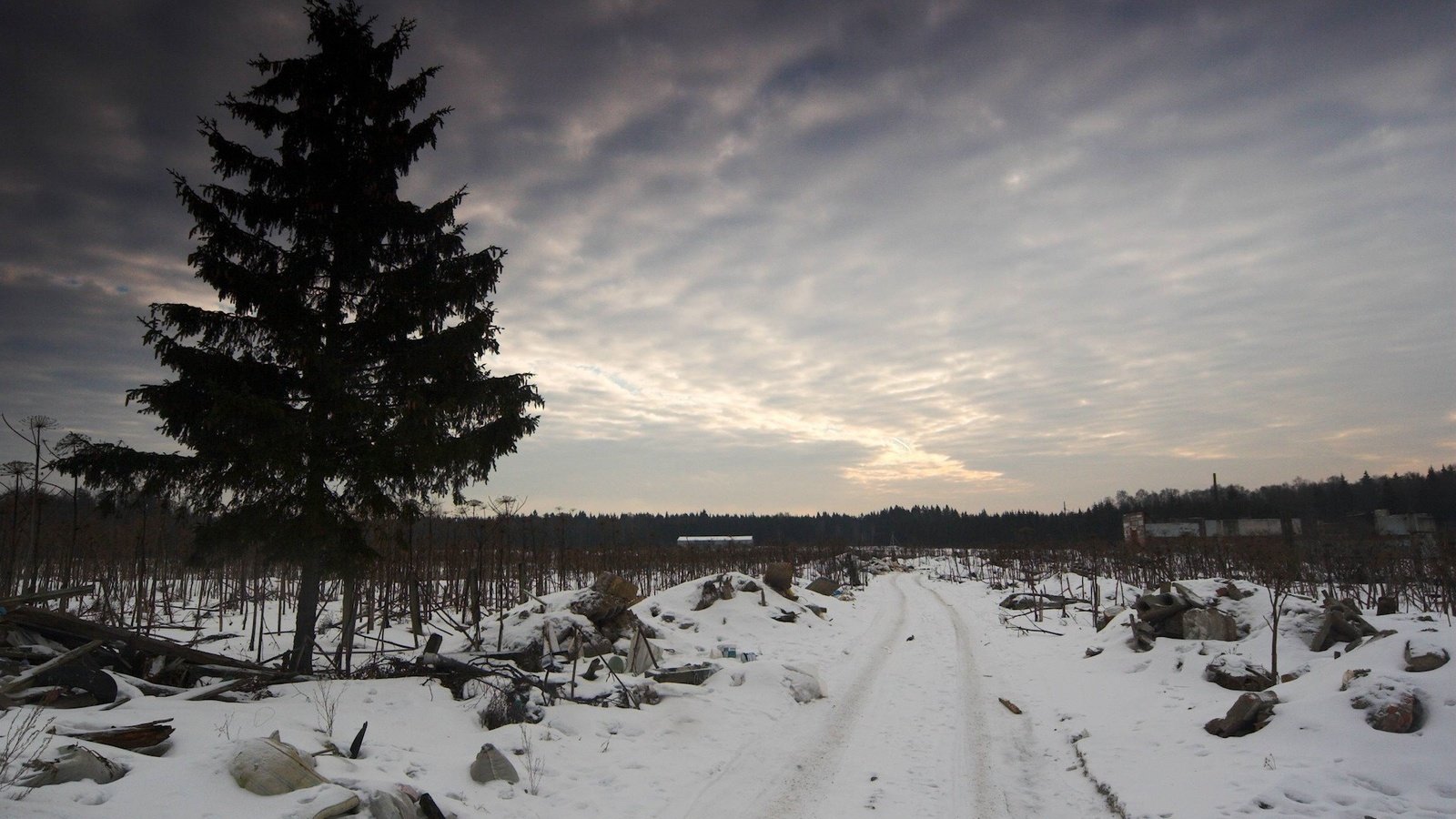 Обои небо, дорога, дерево, зима, грусть, мусор, the sky, road, tree, winter, sadness, garbage разрешение 1920x1200 Загрузить