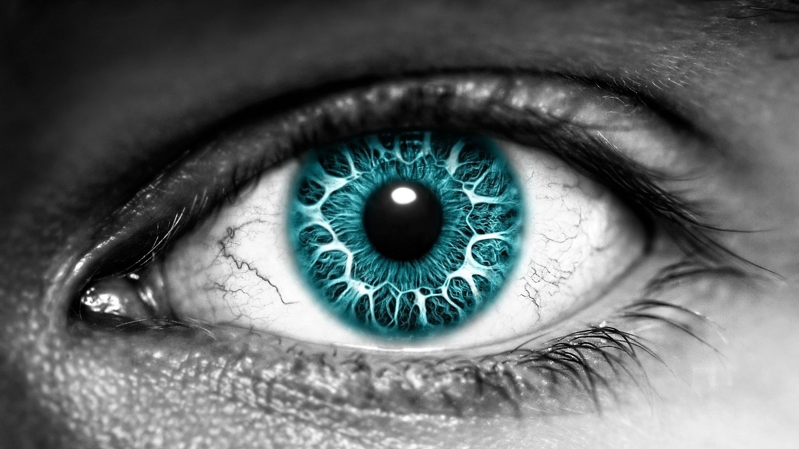 Обои цвет, черно-белая, глаз, зрачок, color, black and white, eyes, the pupil разрешение 2560x1600 Загрузить