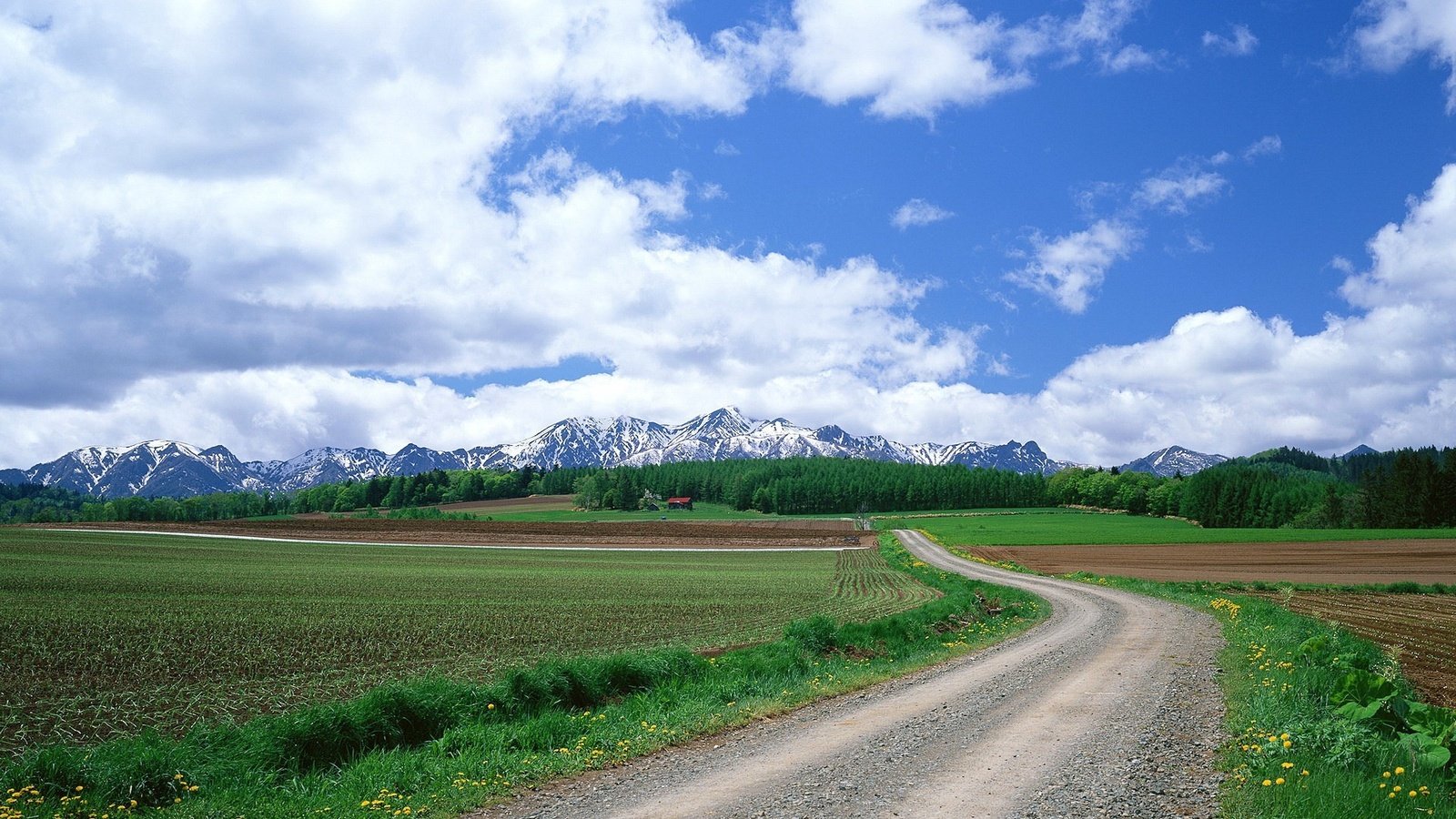 Обои дорога, облака, горы, поле, road, clouds, mountains, field разрешение 1920x1440 Загрузить