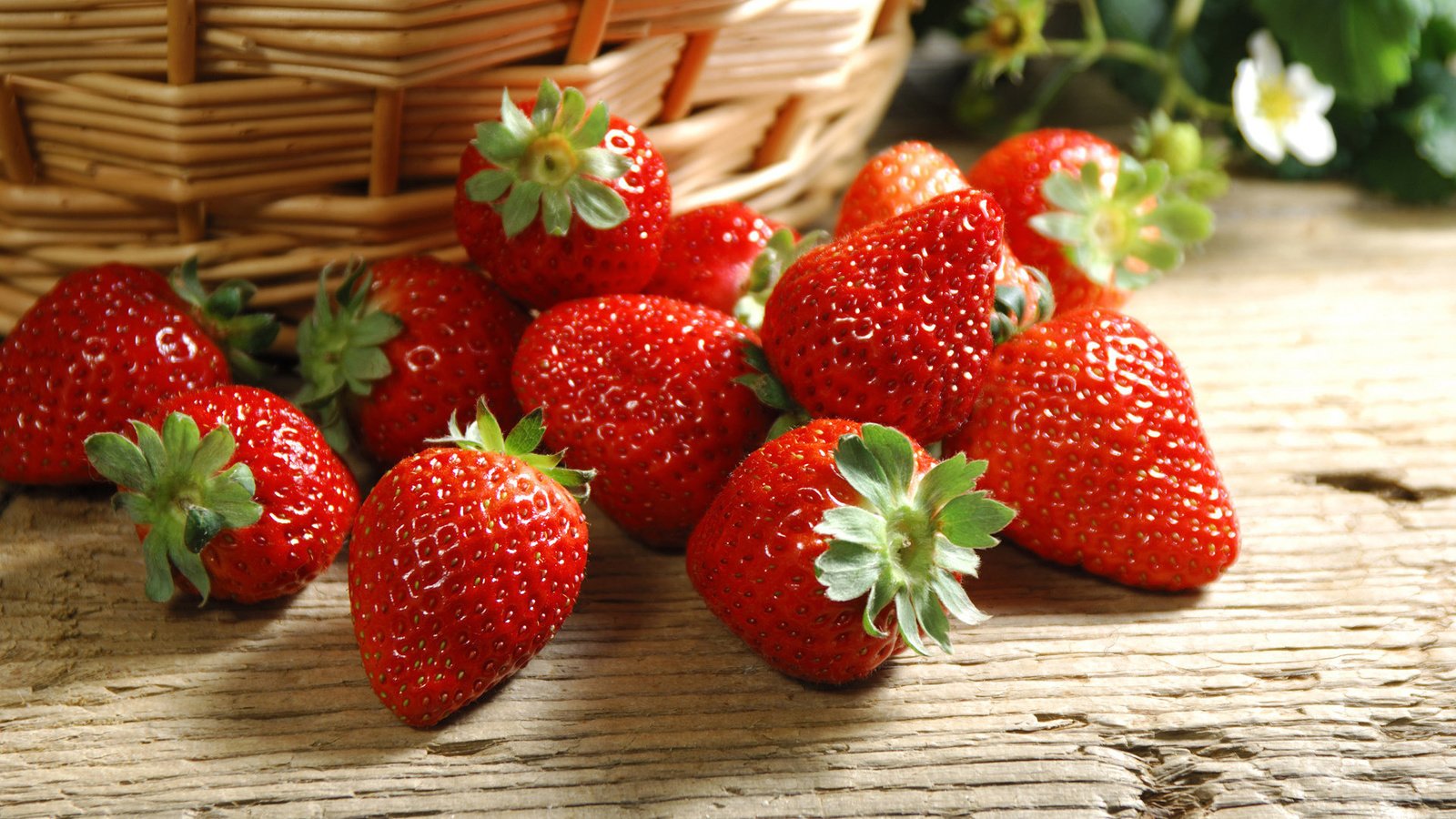 Обои обои, ягода, клубника, ягодки, корзинка, wallpaper, berry, strawberry, berries, basket разрешение 1920x1200 Загрузить