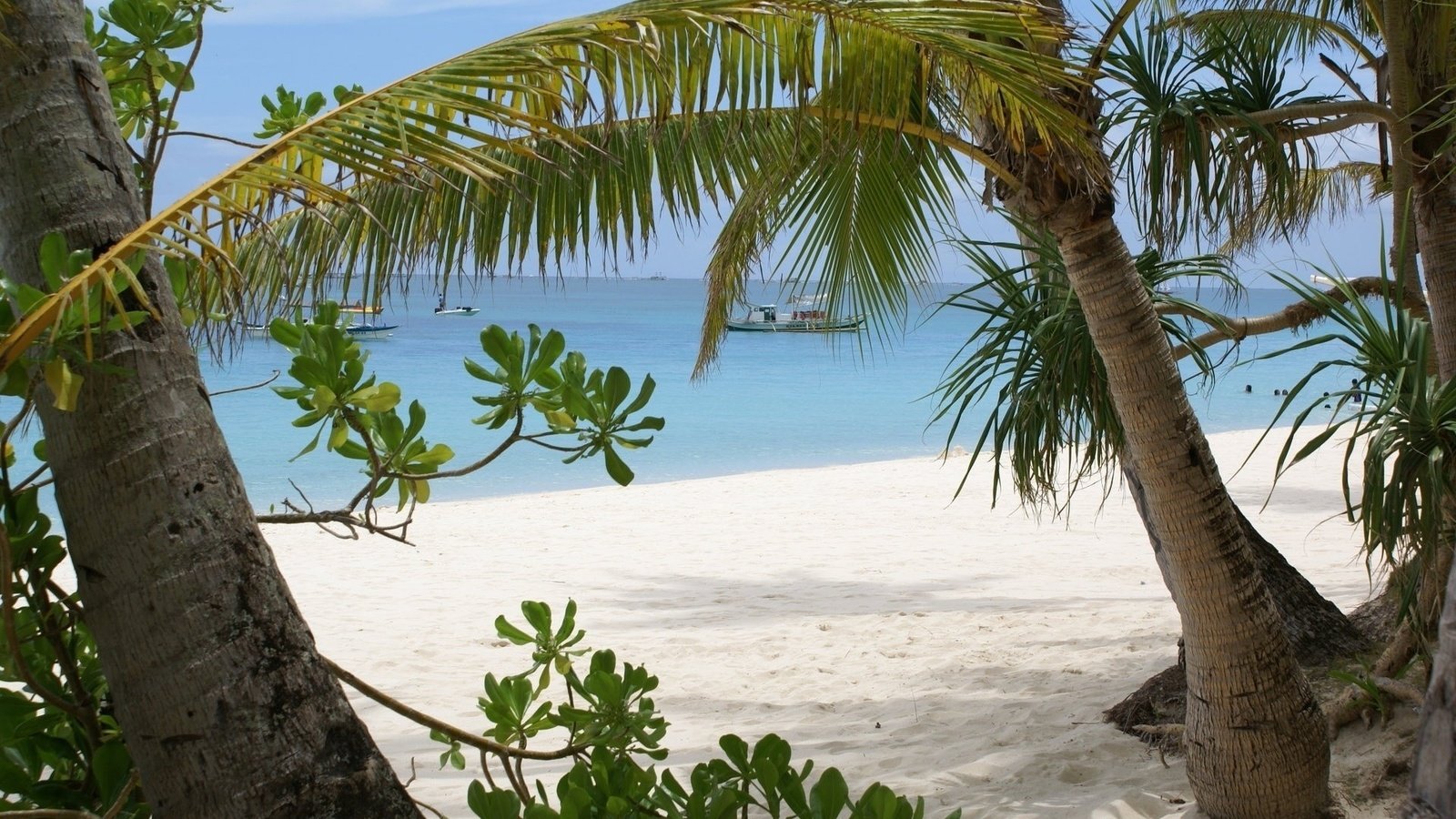 Обои берег, песок, ветки, залив, пальмы, остров, судна, shore, sand, branches, bay, palm trees, island, ship разрешение 1920x1200 Загрузить