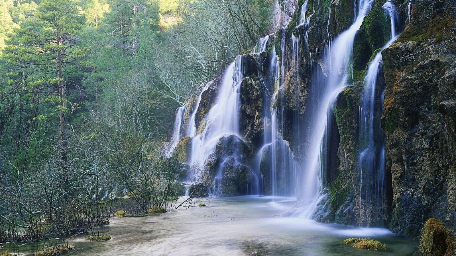 Обои деревья, лес, водопад, trees, forest, waterfall разрешение 1920x1200 Загрузить