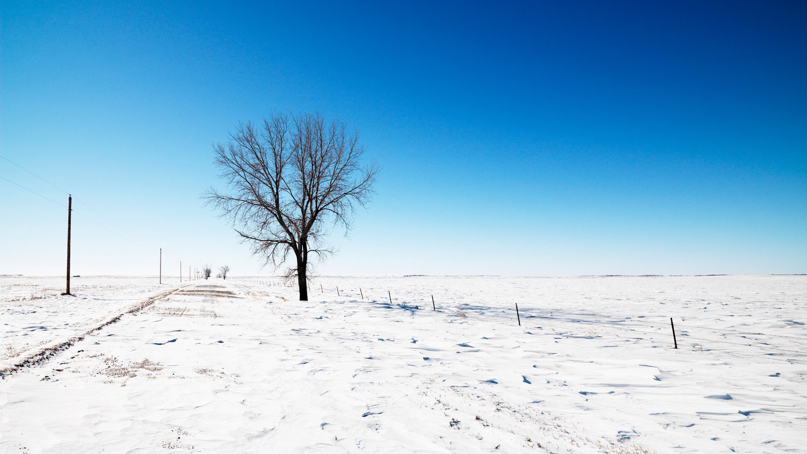 Обои небо, дорога, снег, дерево, зима, the sky, road, snow, tree, winter разрешение 2560x1600 Загрузить