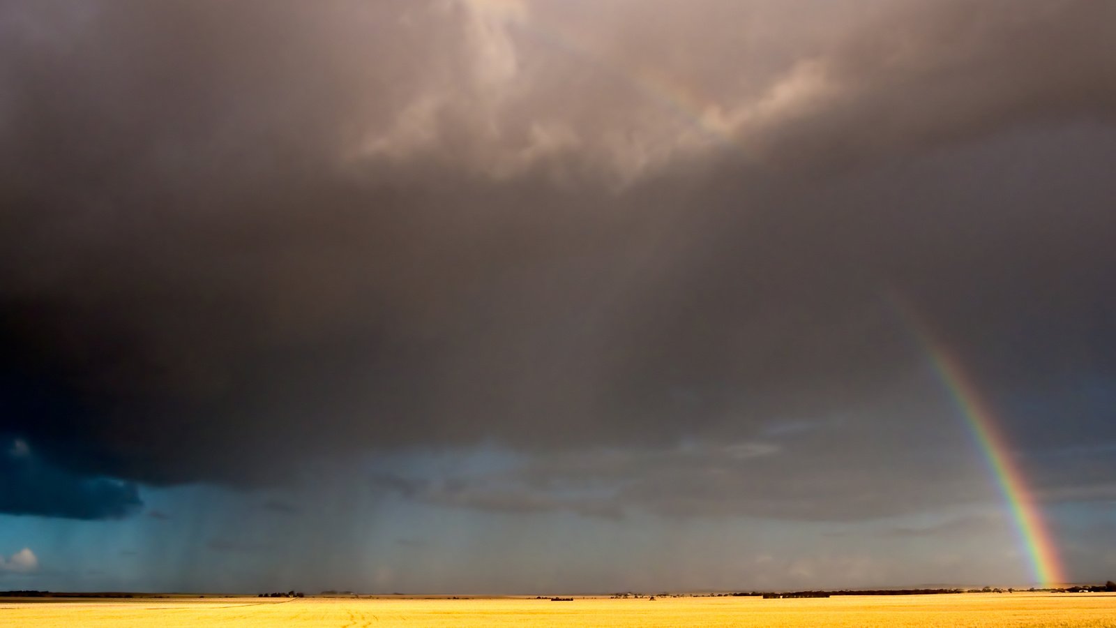 Обои небо, облака, поле, радуга, the sky, clouds, field, rainbow разрешение 2560x1600 Загрузить