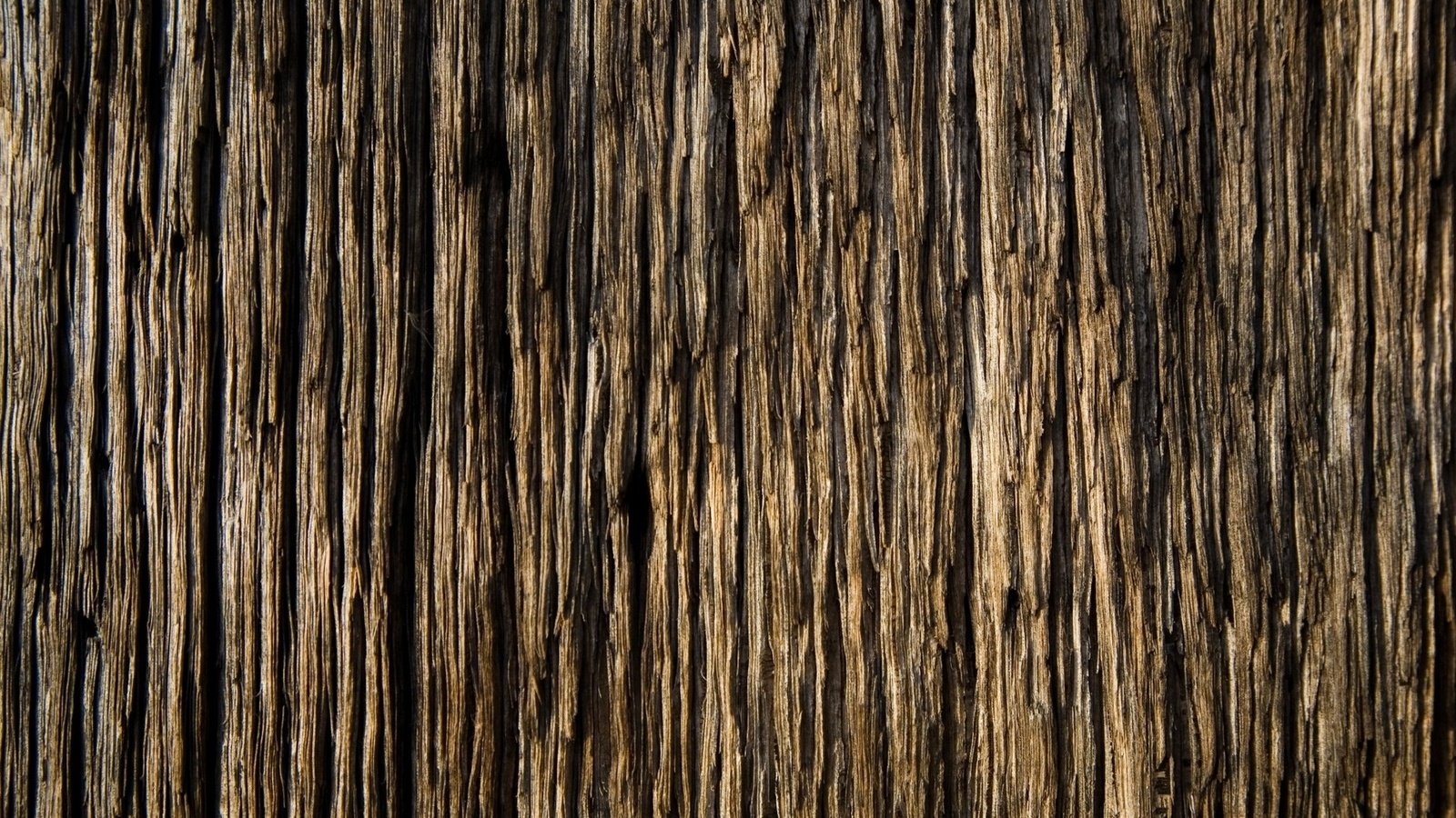 Обои дерево, доска, древесина, текстур, tree, board, wood, textures разрешение 1920x1080 Загрузить